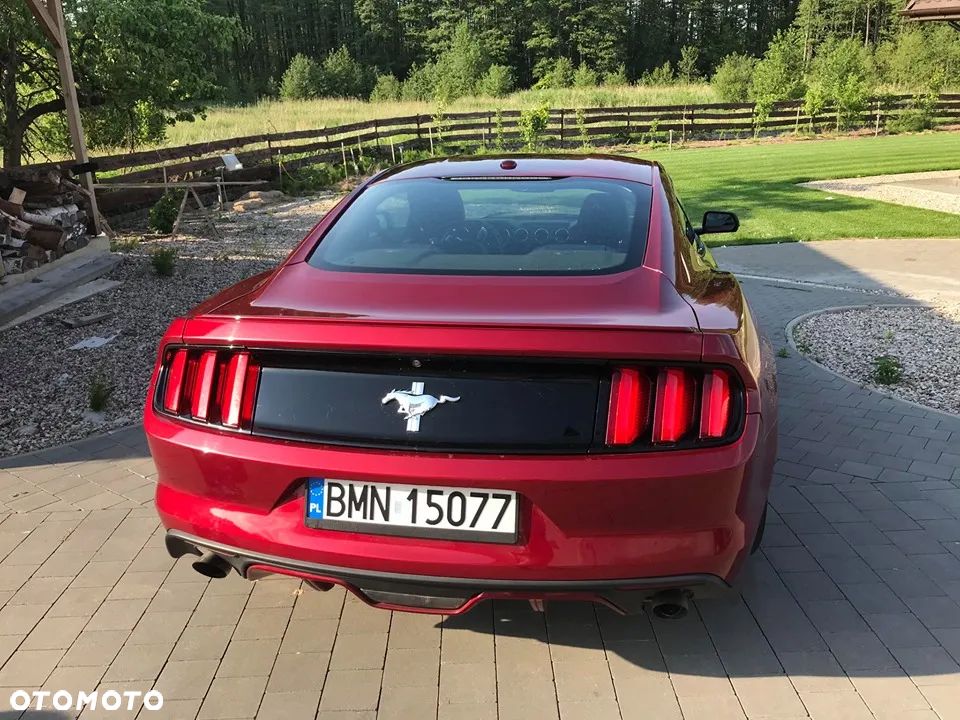Ford Mustang 2.3 EcoBoost - 2