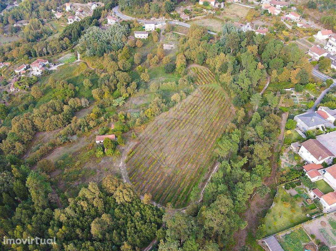 Quinta  para venda - Grande imagem: 5/17