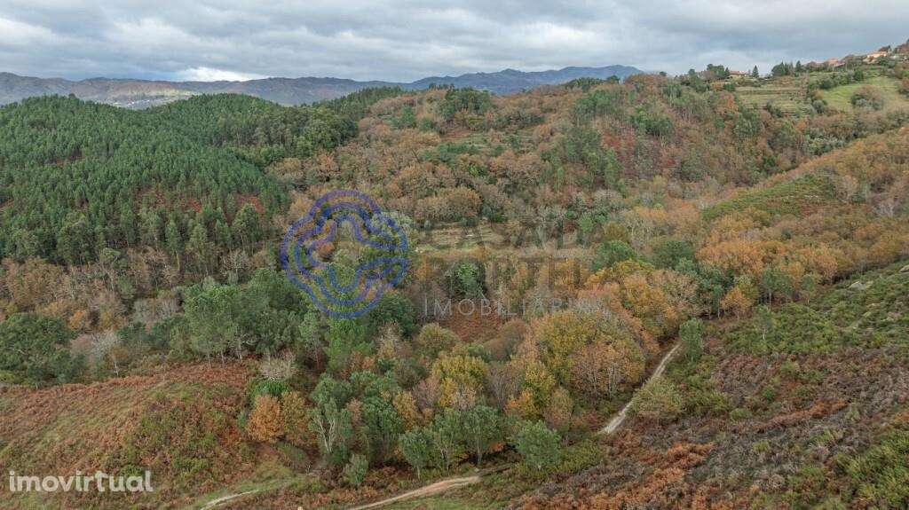 Terreno de 7335,92m2 com frente de ribeiro - Terras de Bouro, Braga - Grande imagem: 4/10