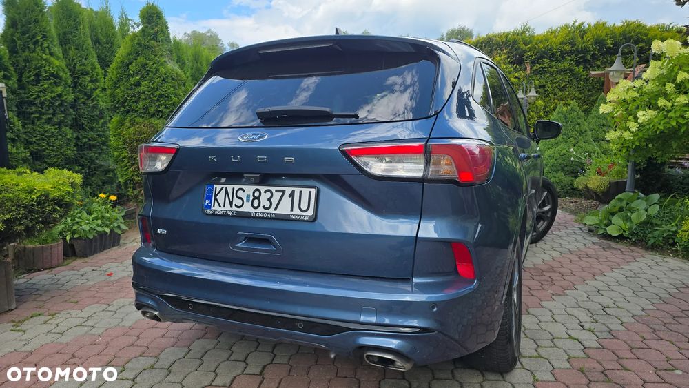 Ford Kuga 2020 photo 5