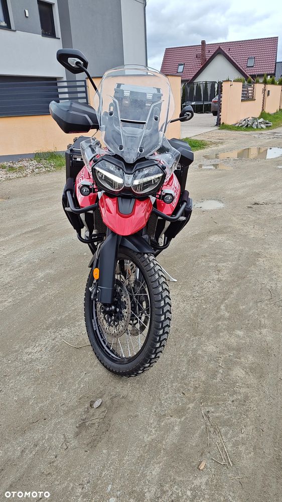 Triumph Tiger - 3