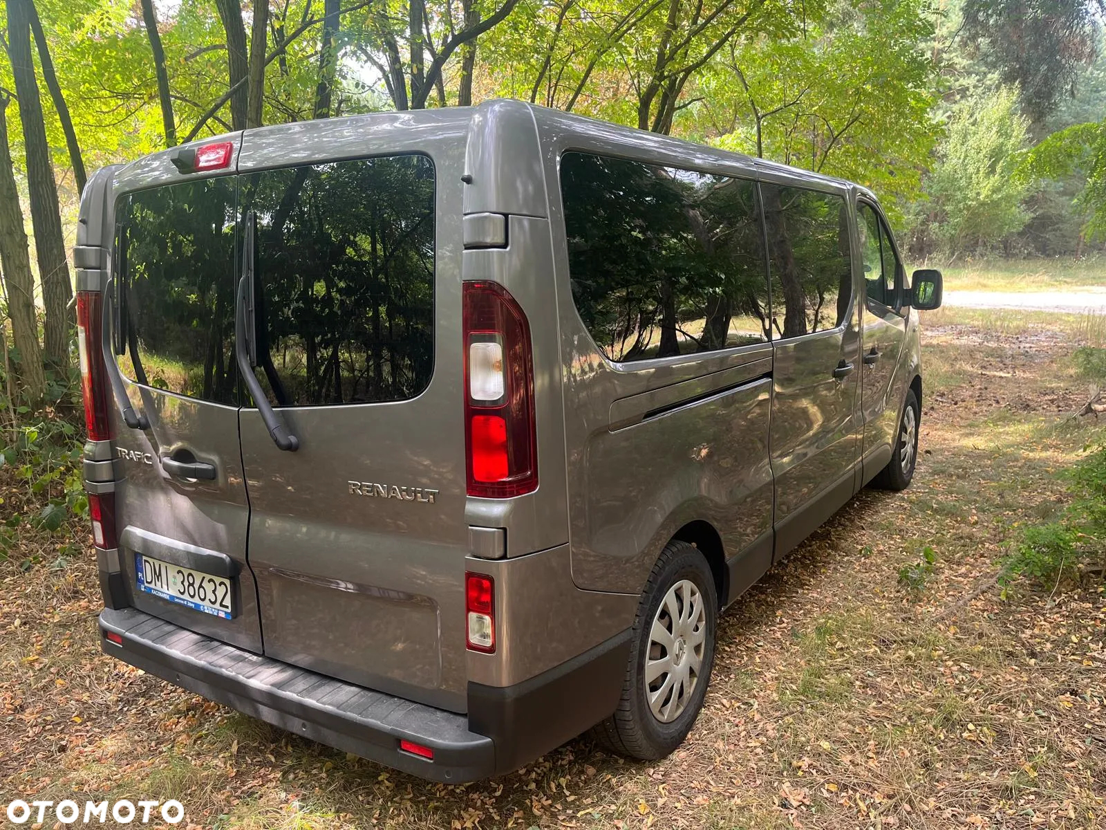 Renault Trafic - 3
