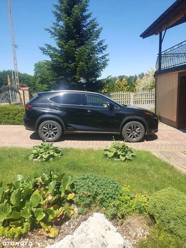 Lexus NX 300h Elegance AWD - 5