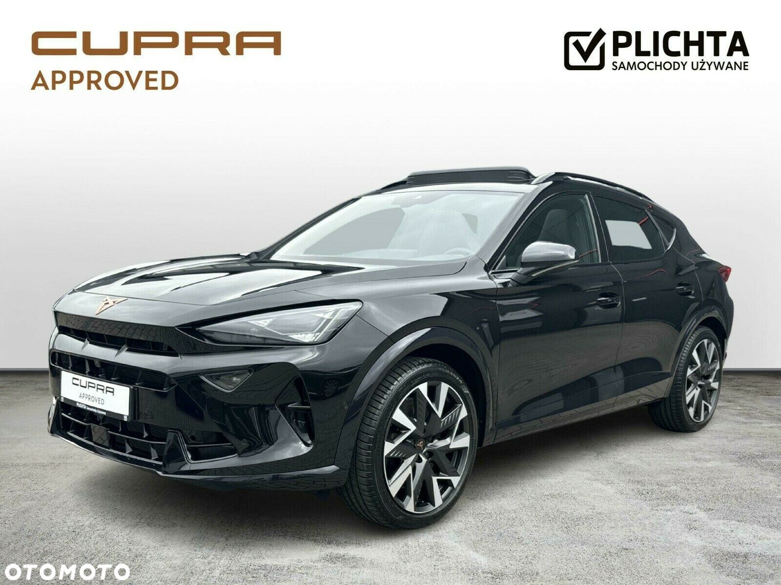 Cupra Formentor 2.0 TSI 4Drive VZ DSG - 1