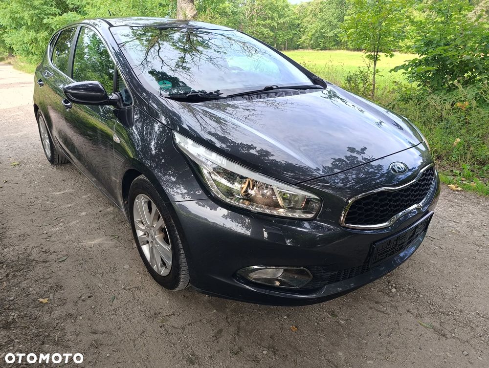 Kia Ceed 1.6 CRDi 128 Fifa World Cup Edition - 10