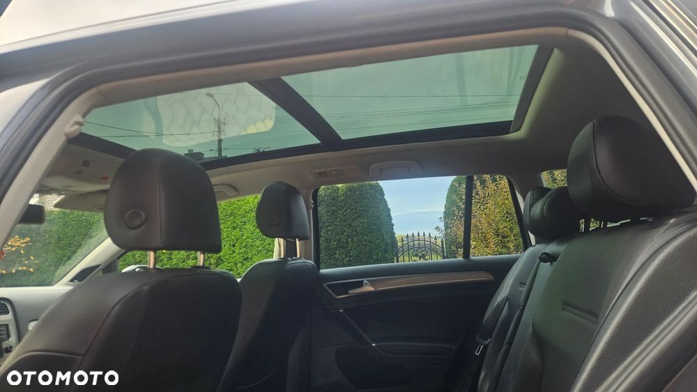 Volkswagen Golf - 29