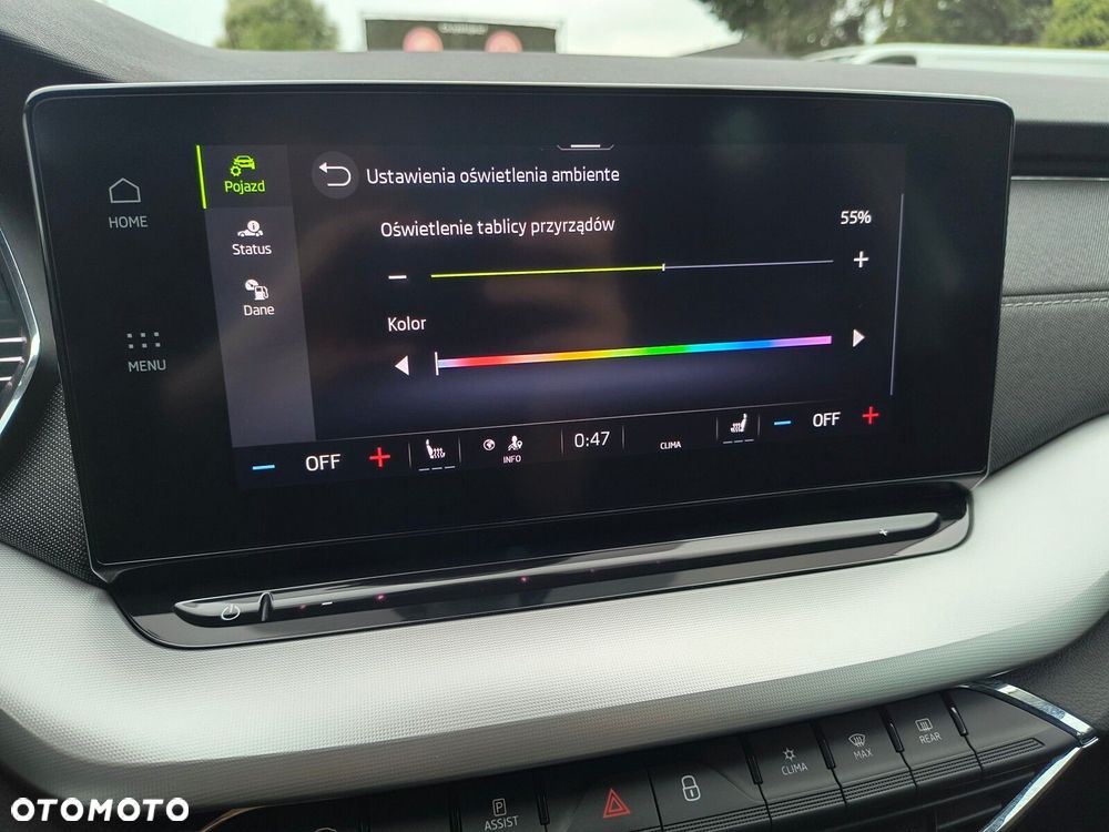 Skoda Octavia 2.0 TSI 4x4 Style DSG - 30