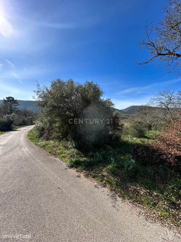 Terreno rústico Alcaria - Grande imagem: 5/12