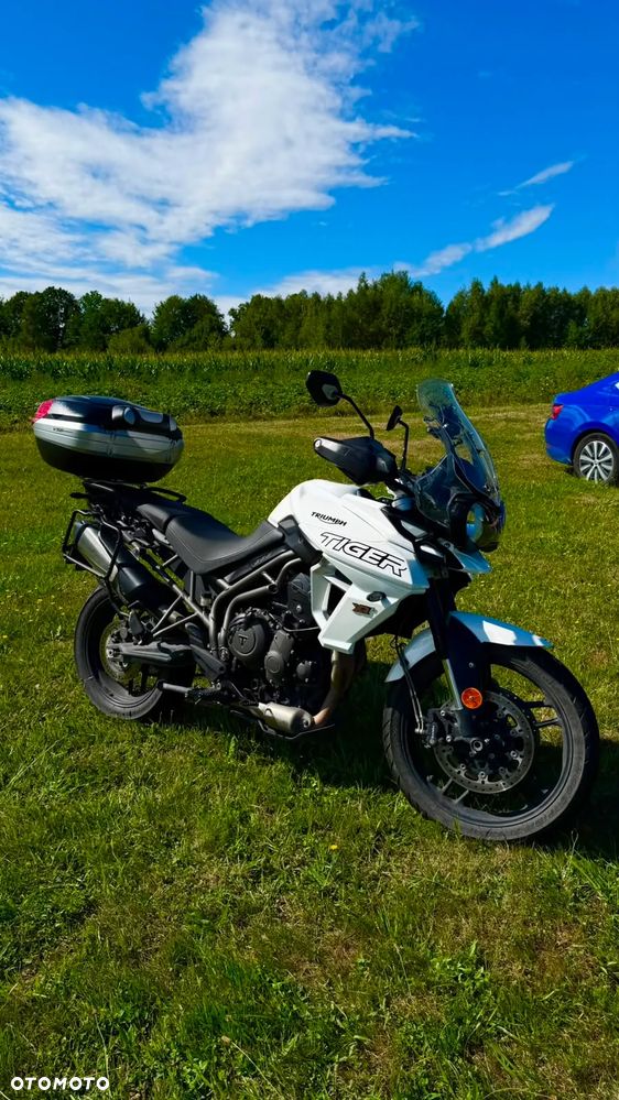 Triumph Tiger