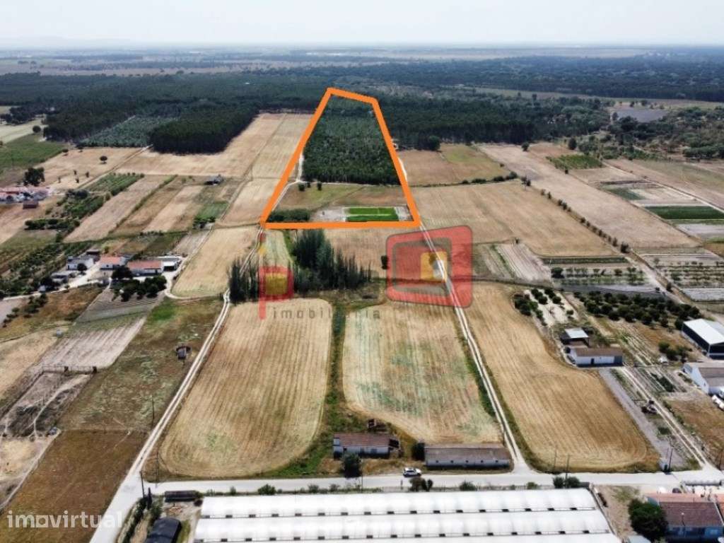 TERRENO RÚSTICO COM 6.6HA - TAIPADAS - Grande imagem: 3/4