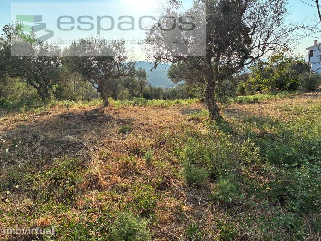 Terreno Urbano - Grande imagem: 3/21