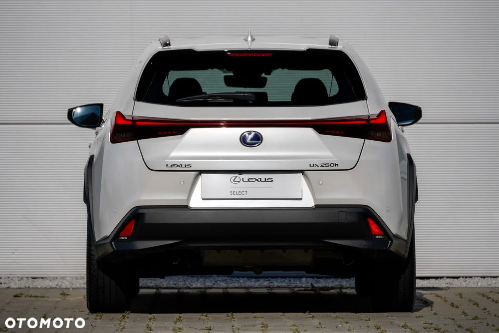 Lexus UX 250h GPF F Impression 2WD - 21