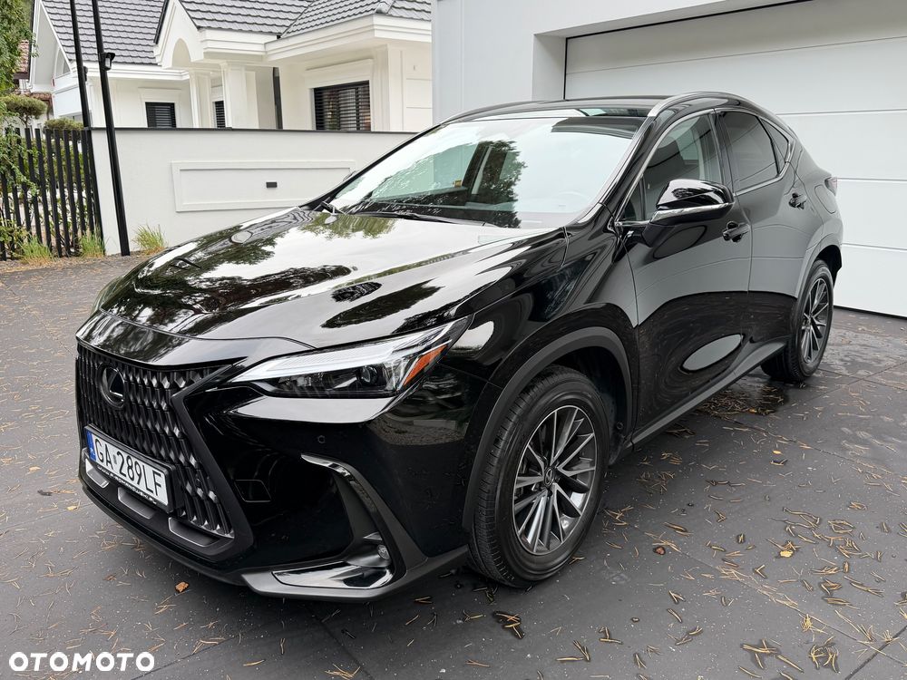 Lexus NX 350h Business AWD - 7