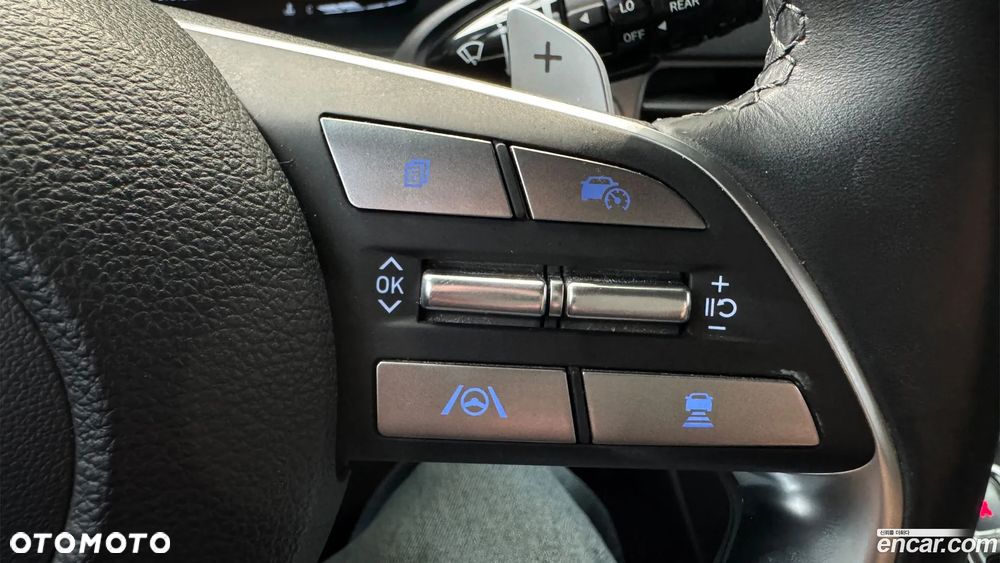 Hyundai Palisade - 15