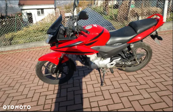 Honda CBF - 5