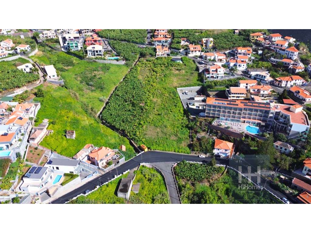 Terreno para construção de moradias com vista mar | Ribeira Brava - Grande imagem: 3/15