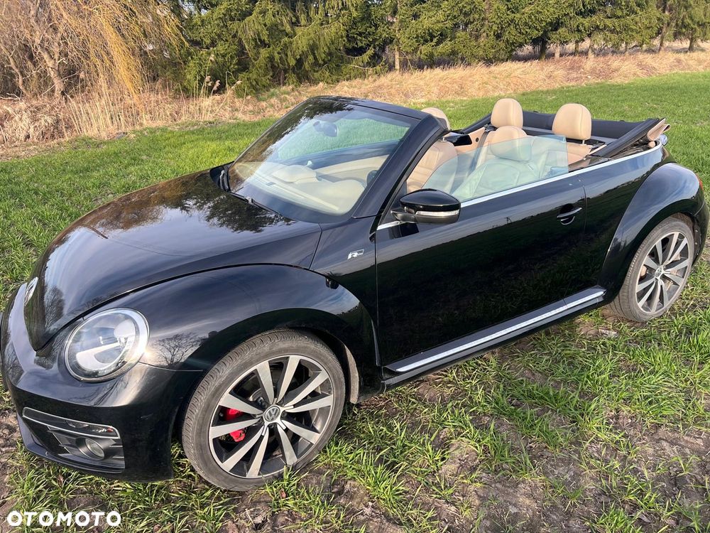 Volkswagen Beetle - 5