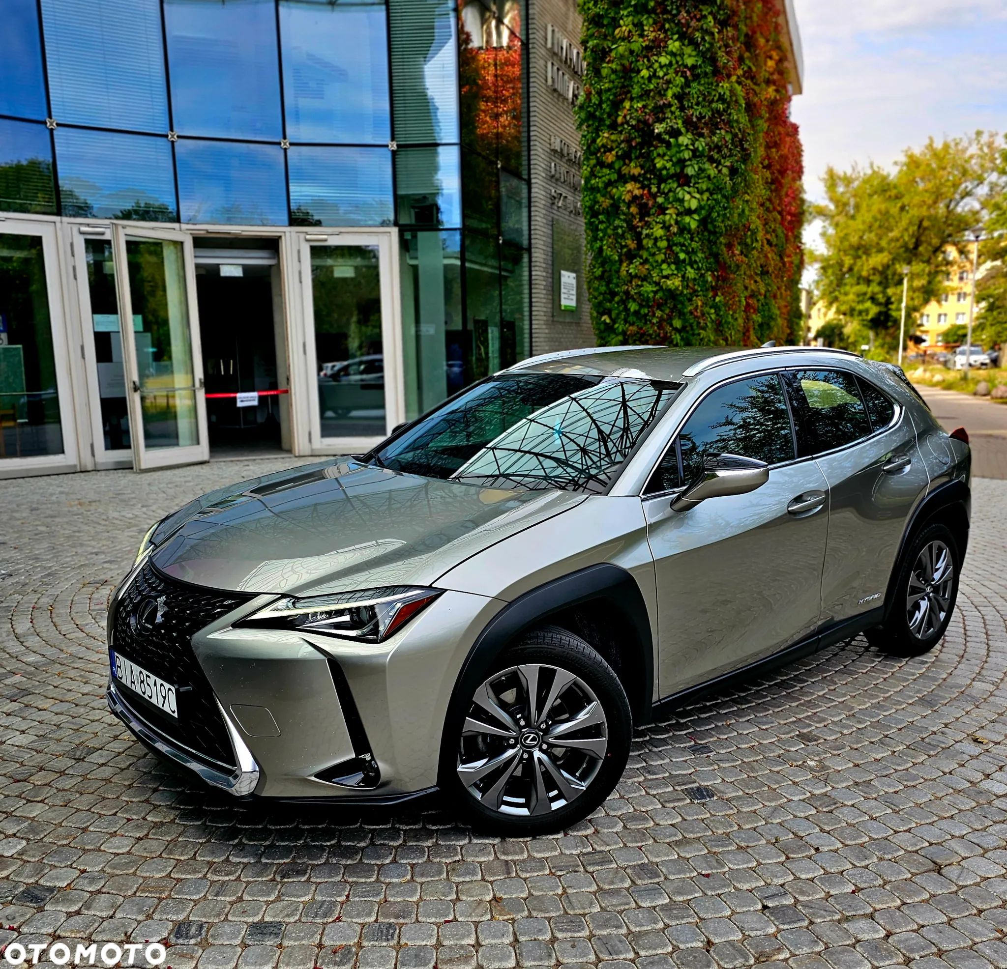 Lexus UX 250h GPF Elegance 2WD - 1