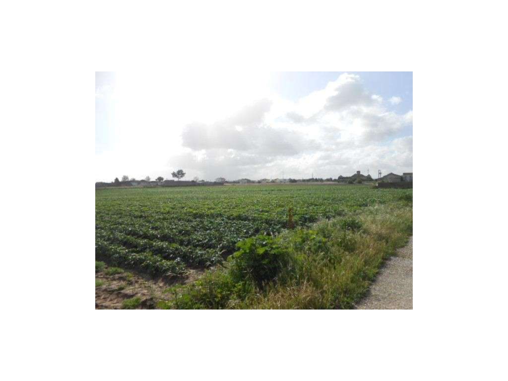 Terreno misto com 59.880 m², no Montijo. - Grande imagem: 2/4