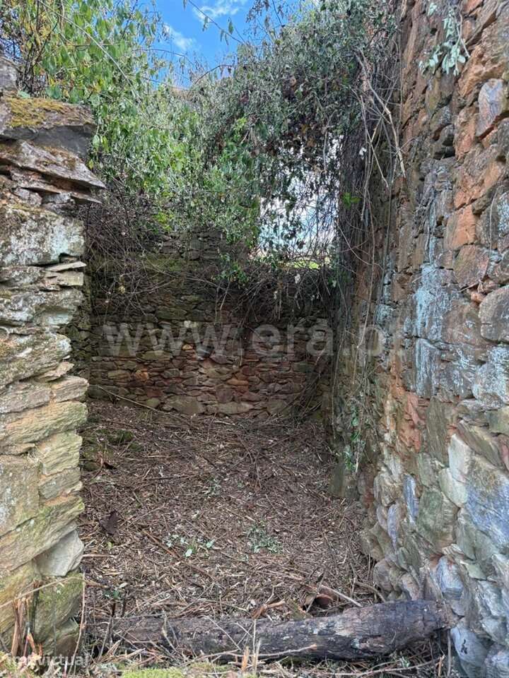 Terreno Rústico / Covilhã, Casegas - Grande imagem: 2/8