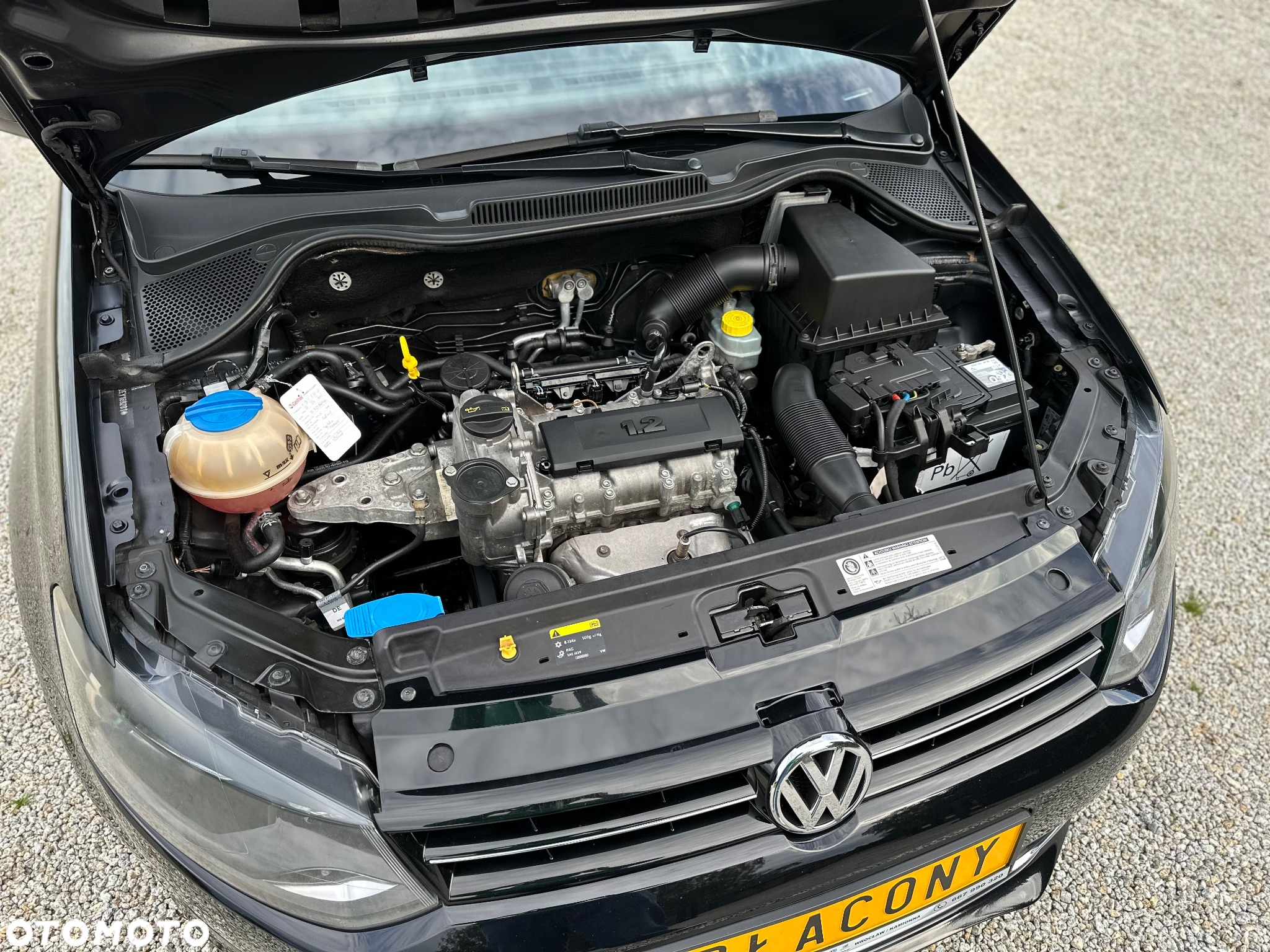 Volkswagen Polo - 34