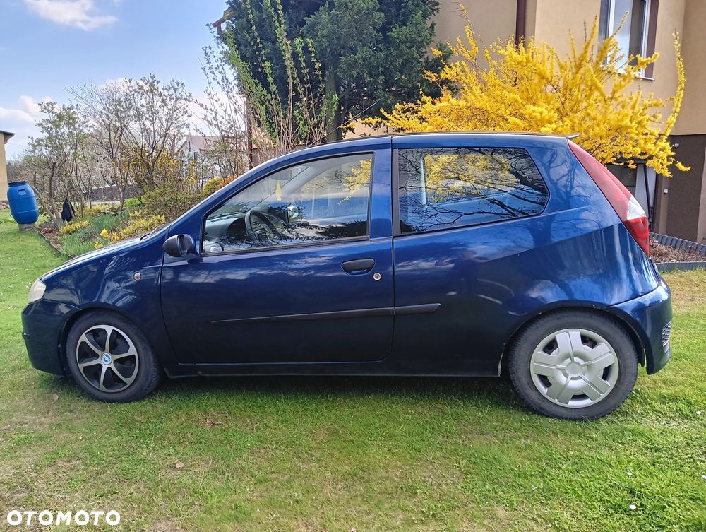 Fiat Punto - 16