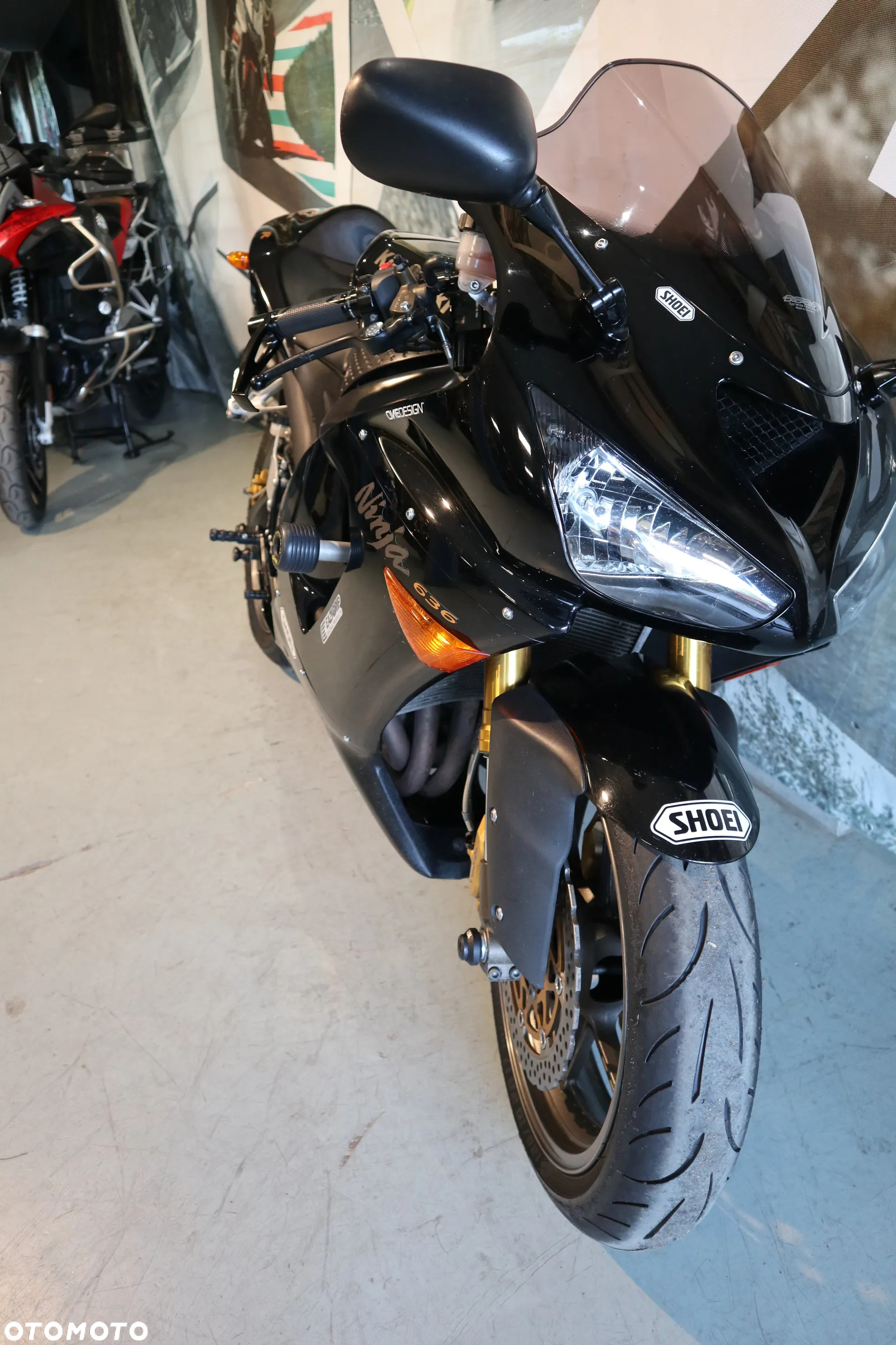 Kawasaki Ninja - 12