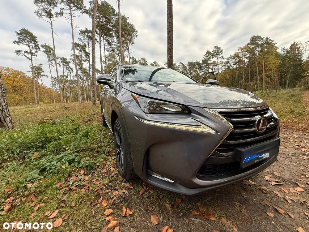 Lexus NX - 12