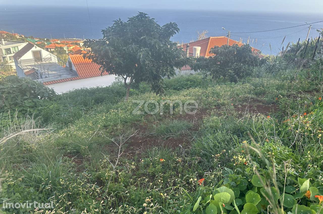 Terreno para construção em Santa Cruz - Grande imagem: 4/18