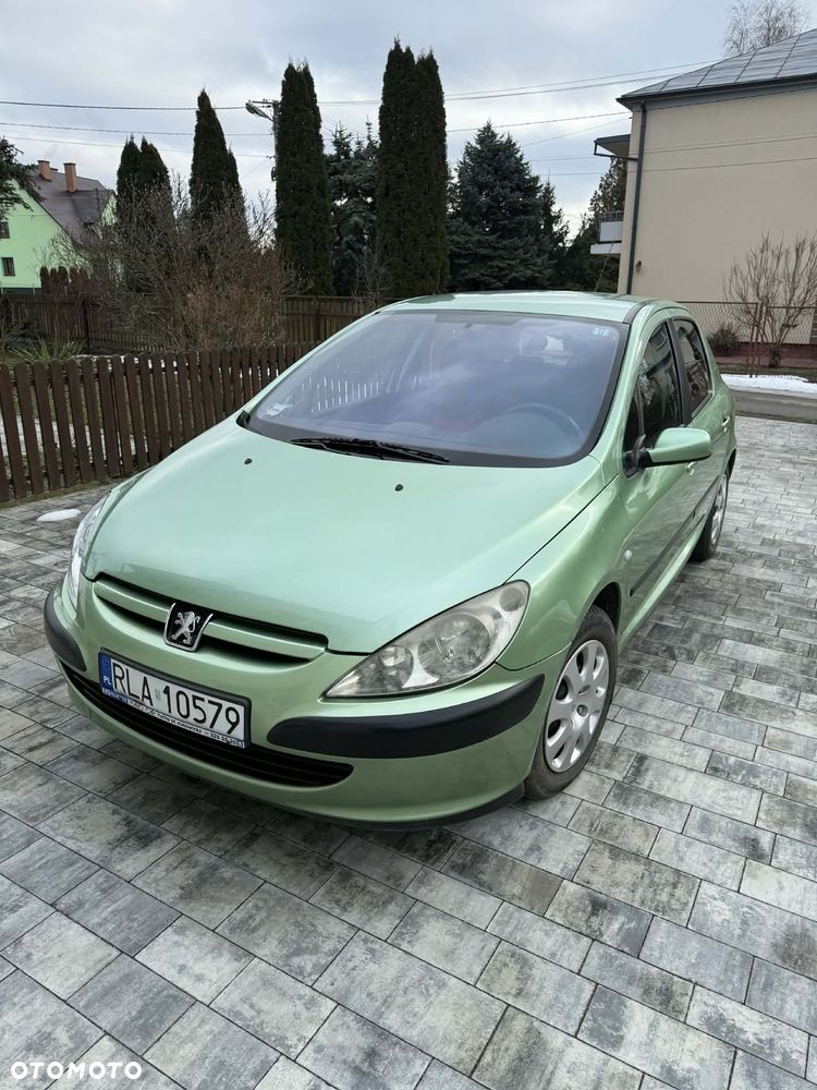 Peugeot 307 1.6 XS - 1
