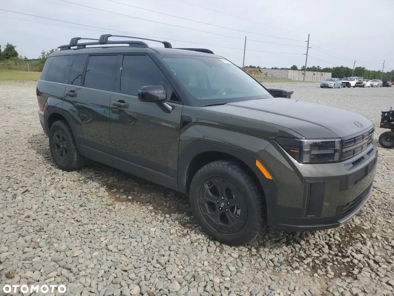 Hyundai Santa Fe - 1