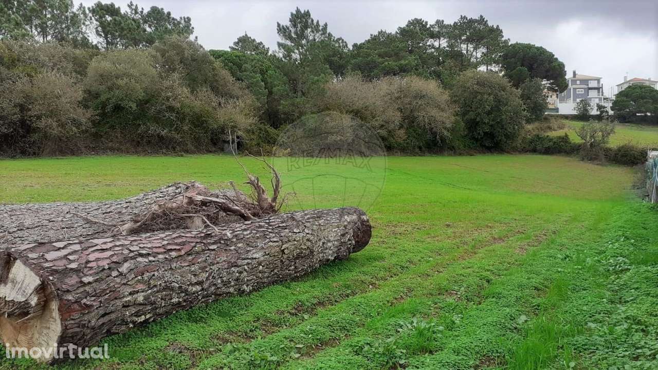 Terreno  para Venda - Grande imagem: 2/3
