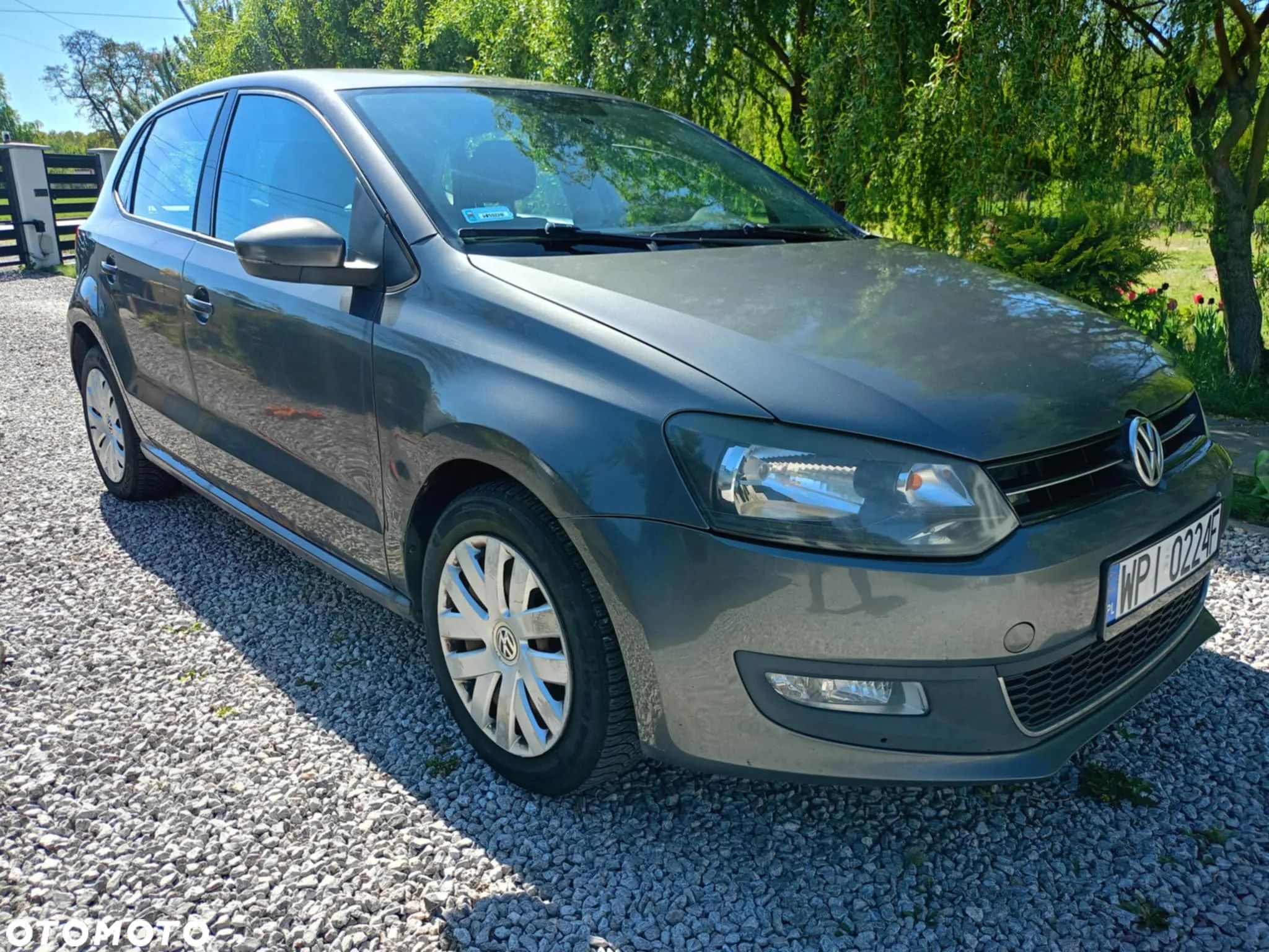 Volkswagen Polo - 1