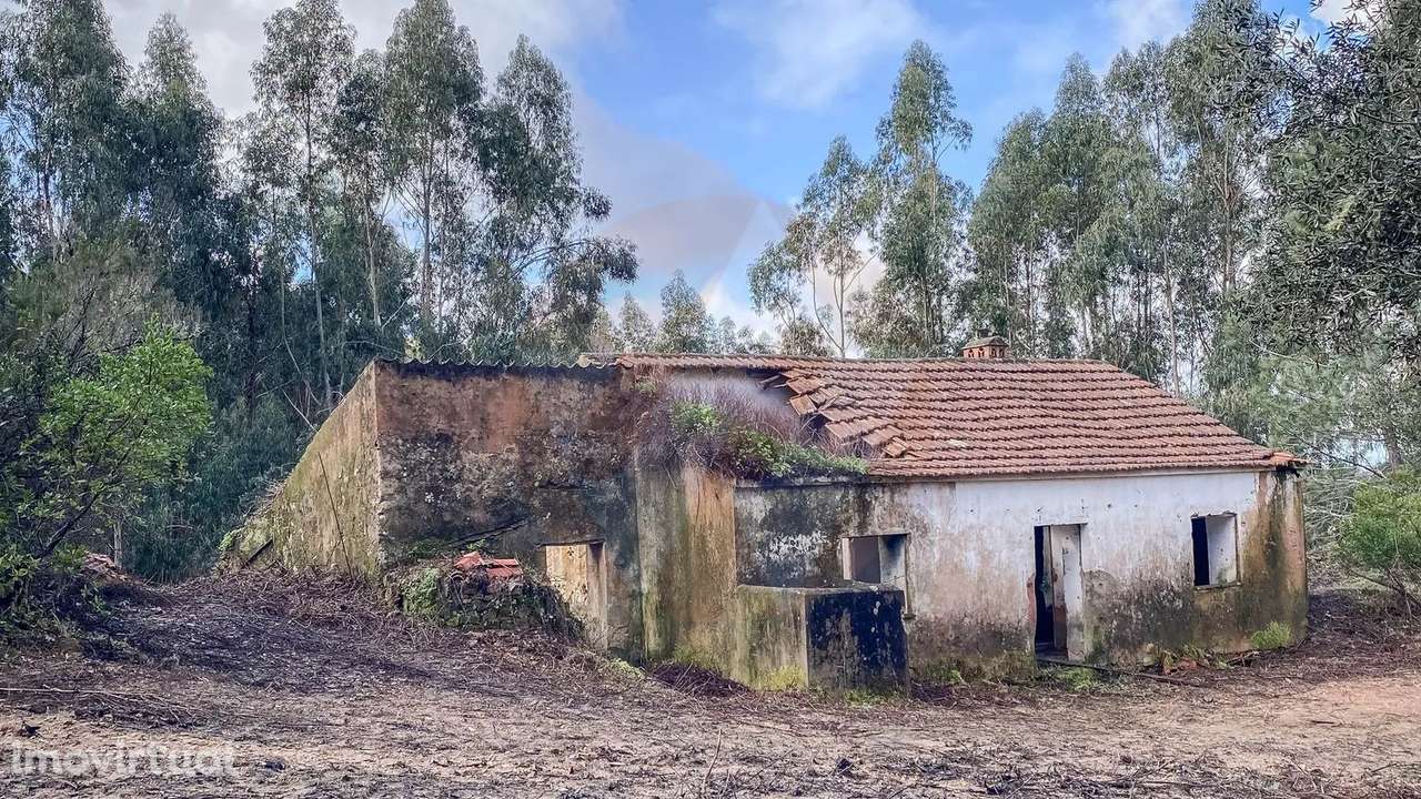 Herdade Serrana com potencial para Turismo Rural - Grande imagem: 2/24