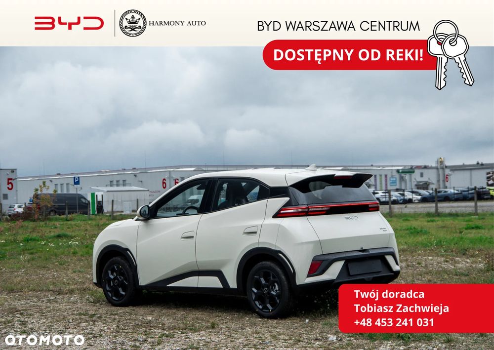 BYD Dolphin Surf - 2