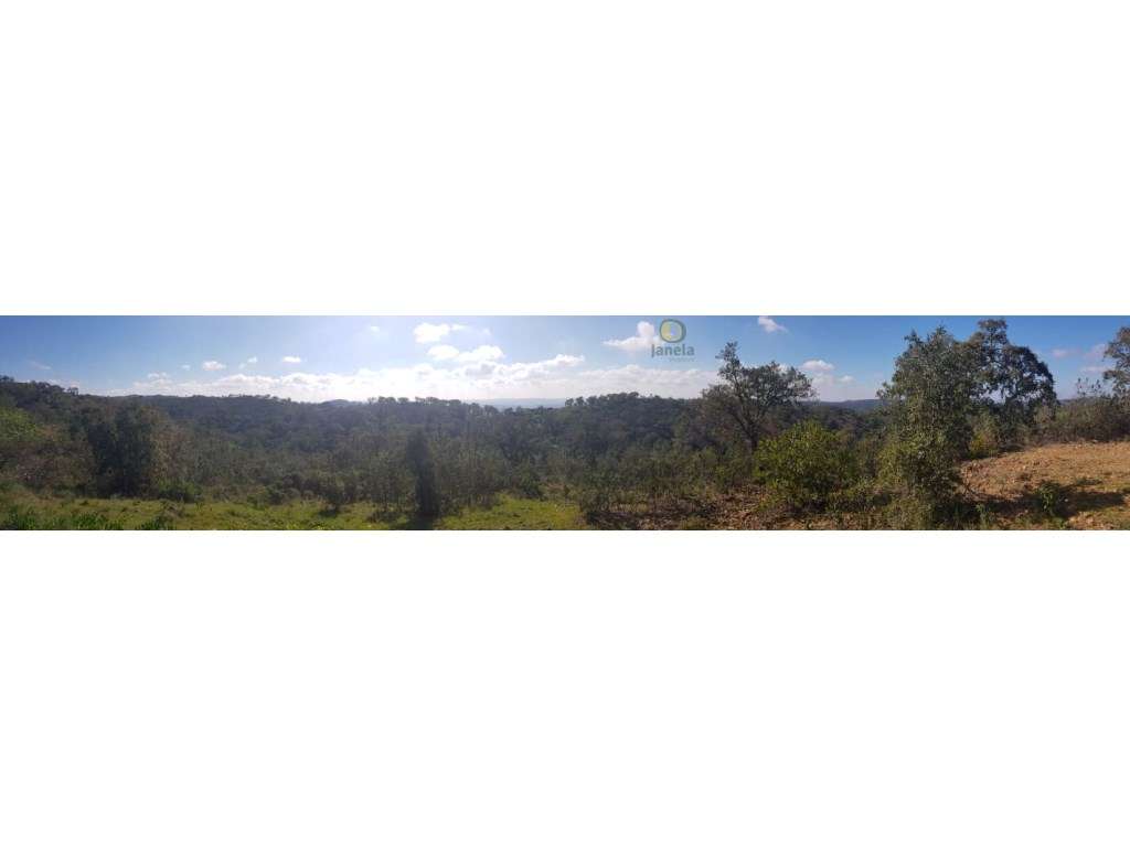 Terreno com 3 hectares e urbano de 1892 m2 para construir moradia - Grande imagem: 5/10