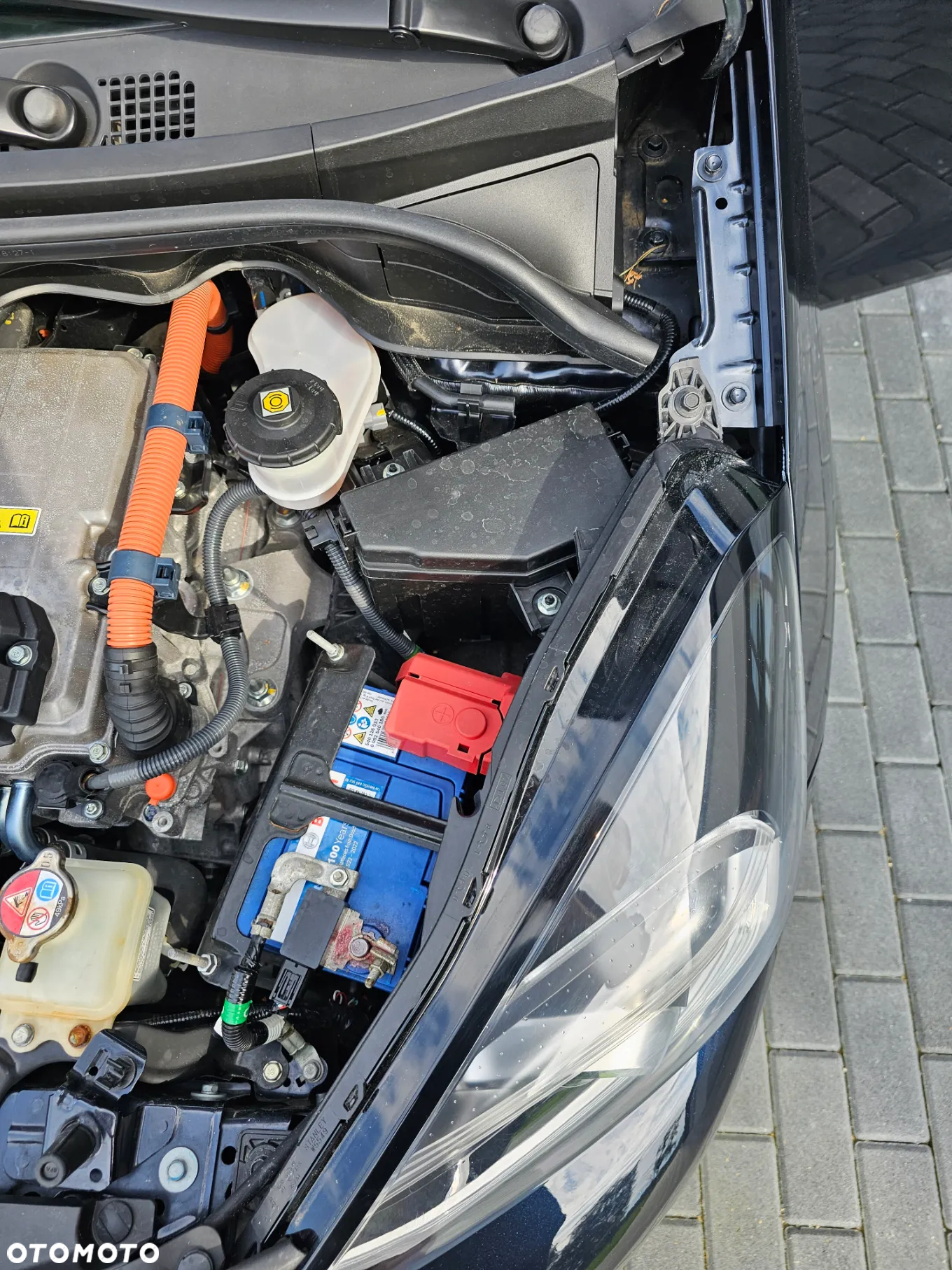 Honda Jazz - 34