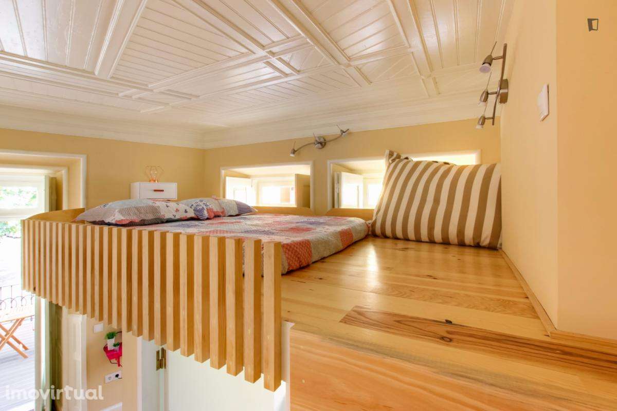 Estúdio - localizado em Montes Claros Coimbra - Grande imagem: 2/20