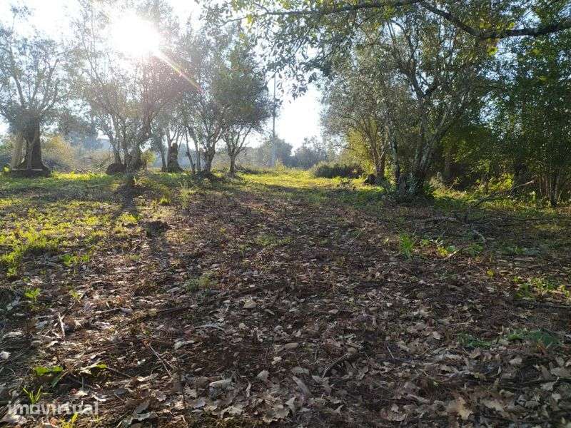 Vende-se Terreno Urbano à entrada da Vila da Lousã - Grande imagem: 3/7