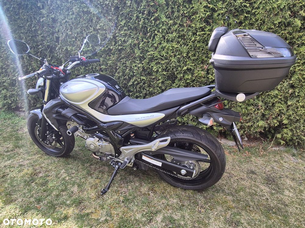 Suzuki Gladius - 2