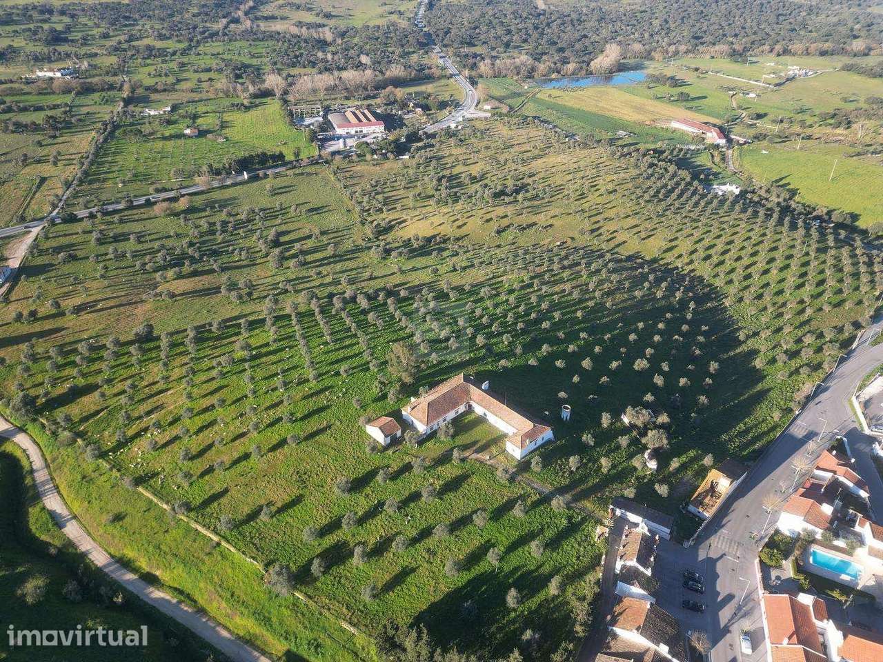Herdade 11 ha junto ao Castelo de Arraiolos - Grande imagem: 2/20