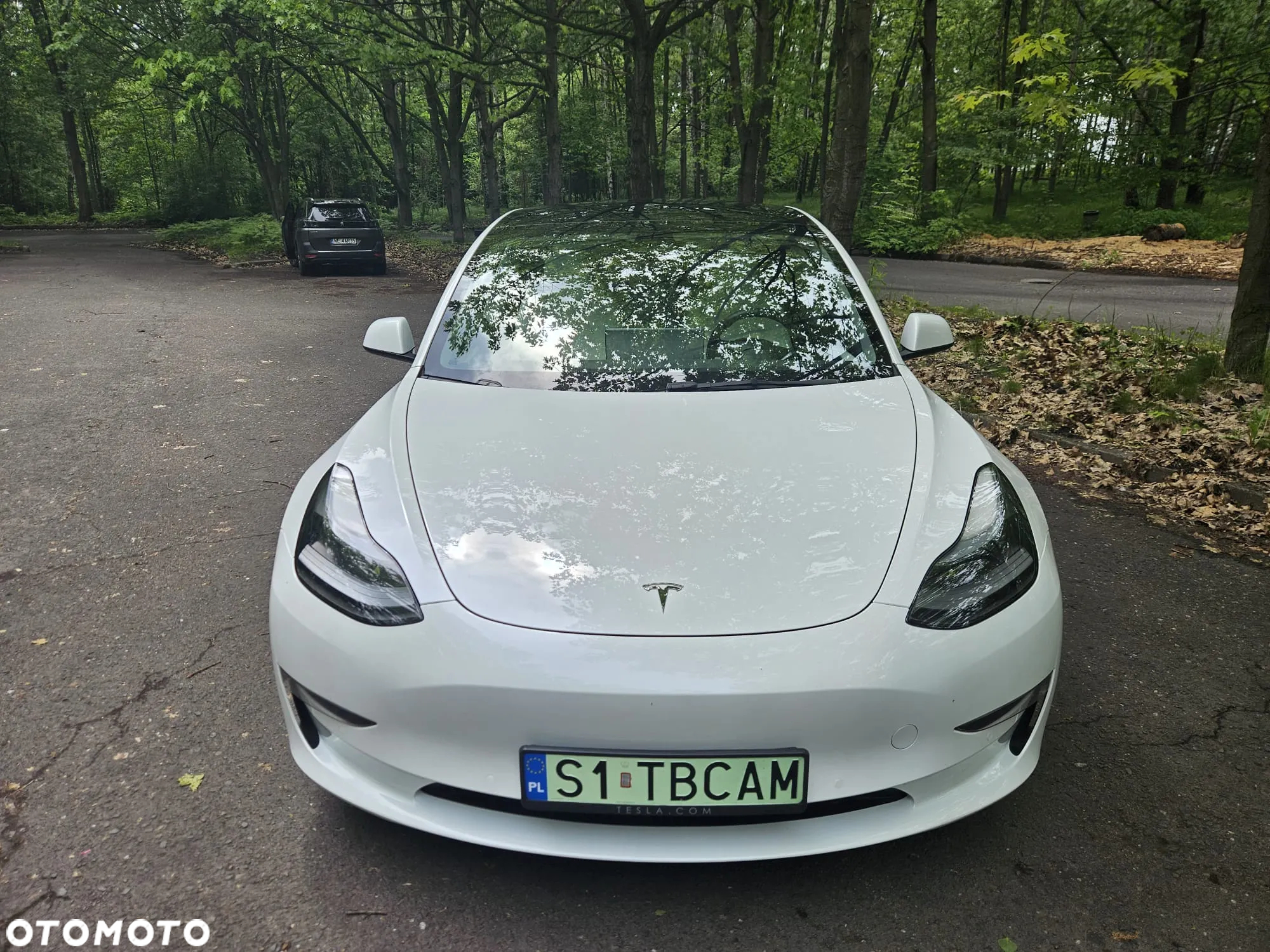 Tesla Model 3 Performance AWD - 8