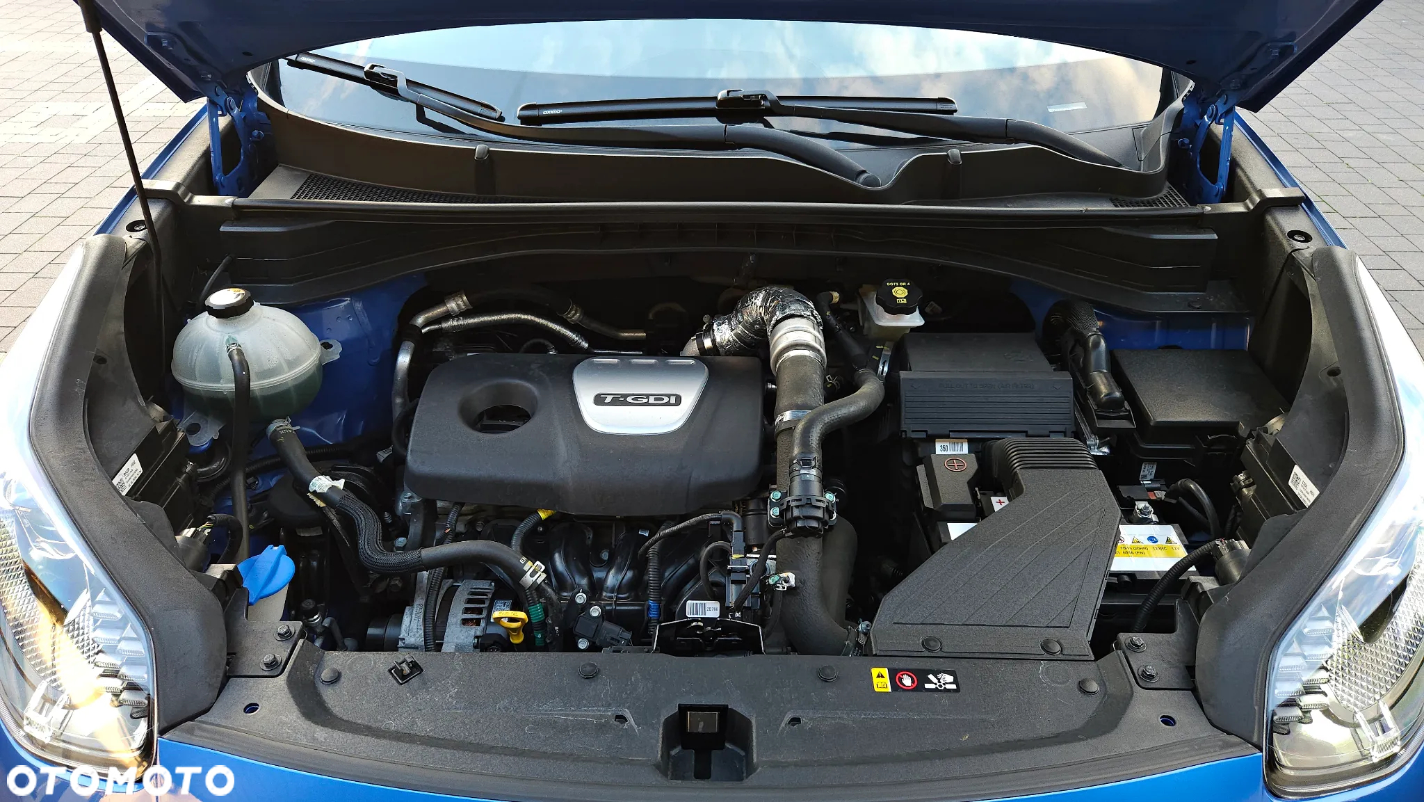 Kia Sportage 1.6 T-GDI L Business Line 2WD - 39