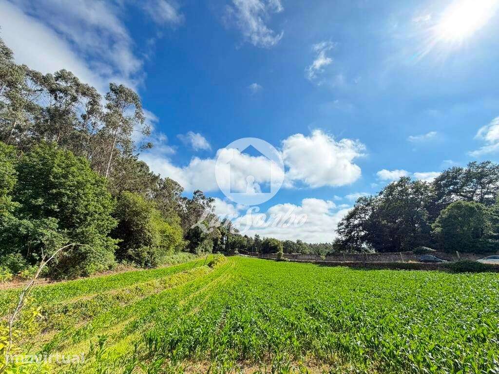 Terreno para Construção de Moradias individuais 12.000 m² na Junque... - Grande imagem: 2/22