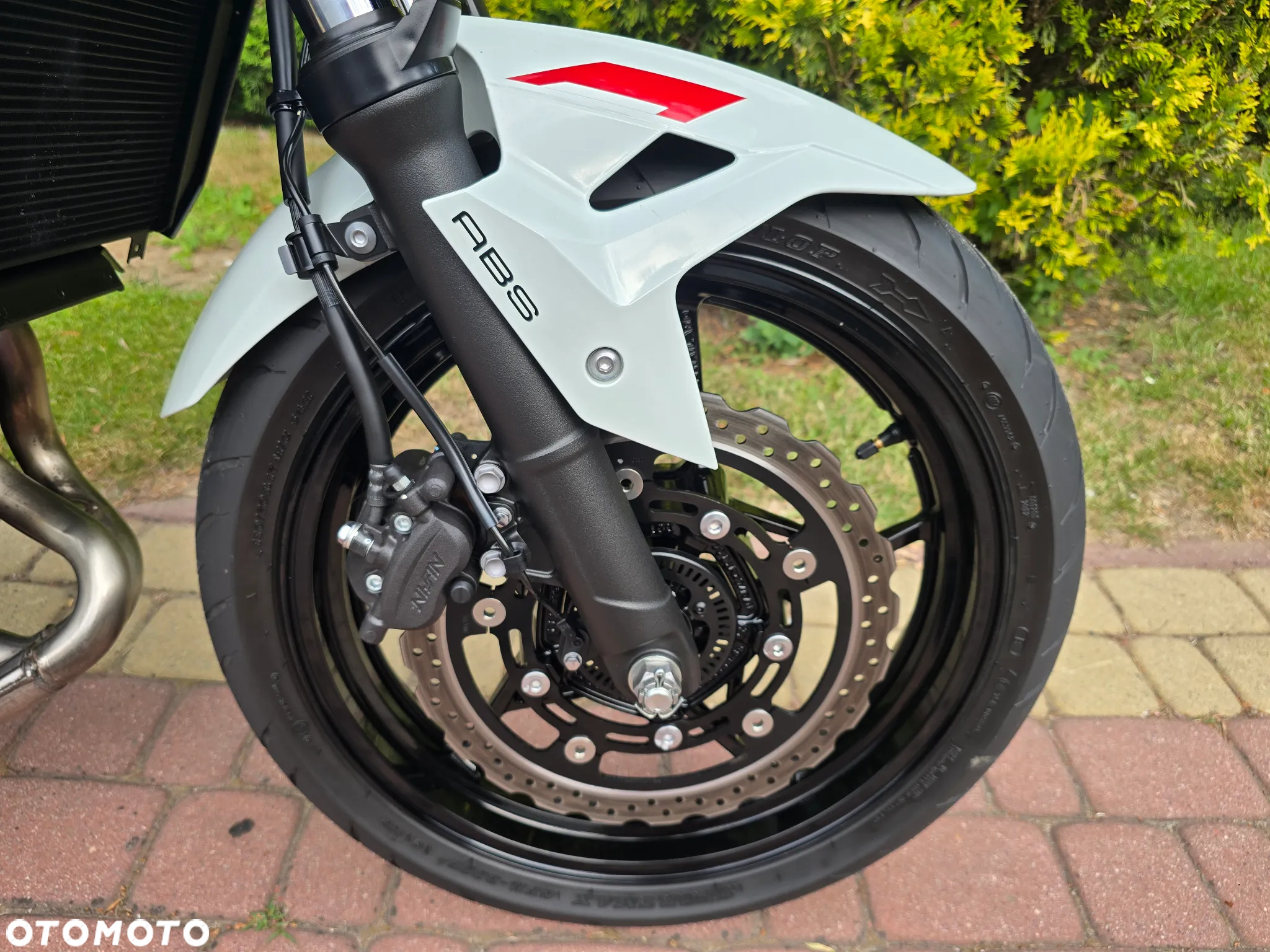 Kawasaki Z - 19