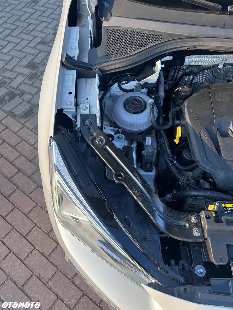 Seat Tarraco 2.0 Eco TSI Xcellence S&S 4Drive DSG - 19