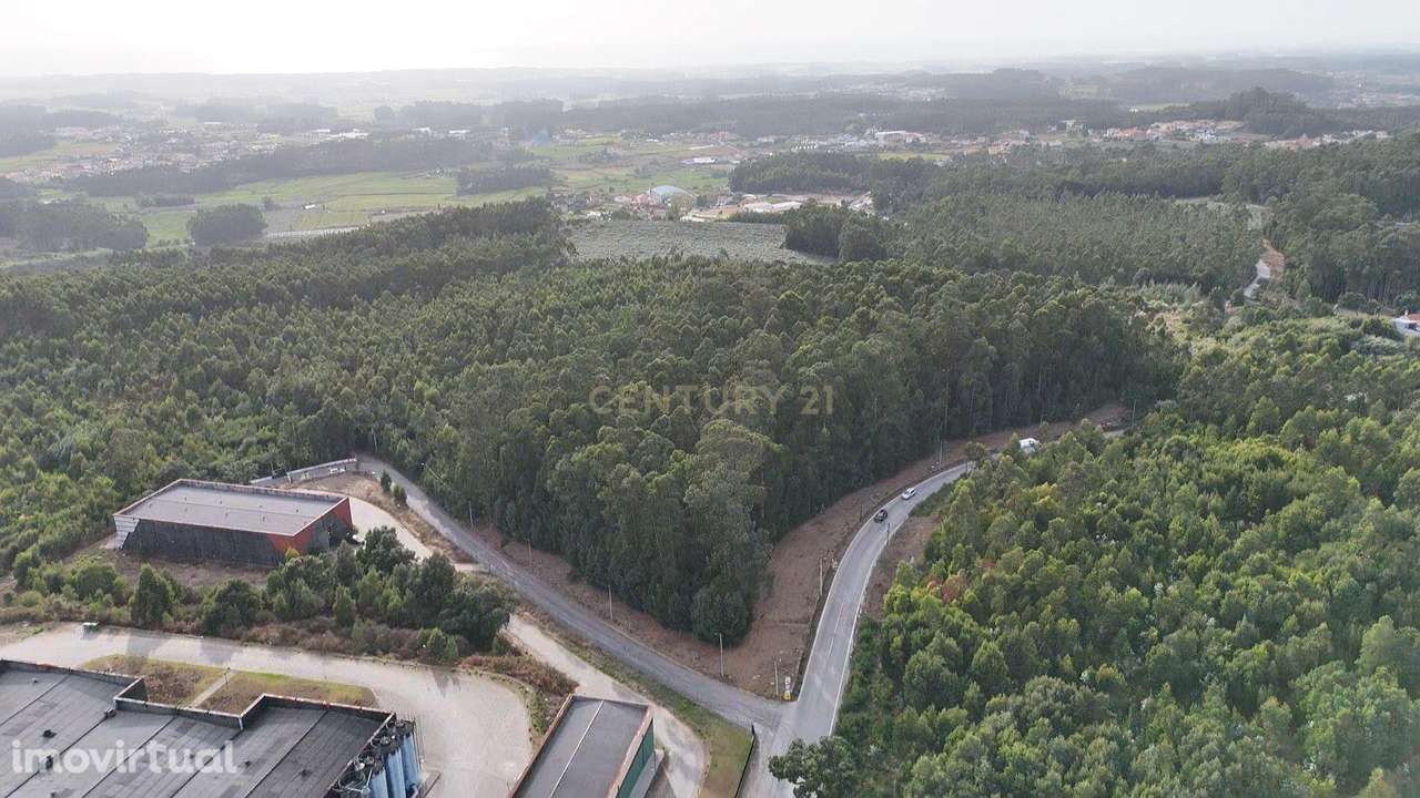Terreno com viabilidade de construção com 20.200 m² em Guilhabreu – Vi - Grande imagem: 2/11