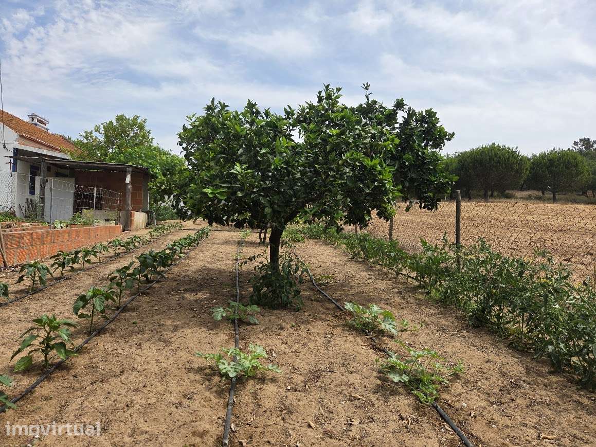 Refúgio Exclusivo no Alentejo Litoral-Melides - Grande imagem: 3/10