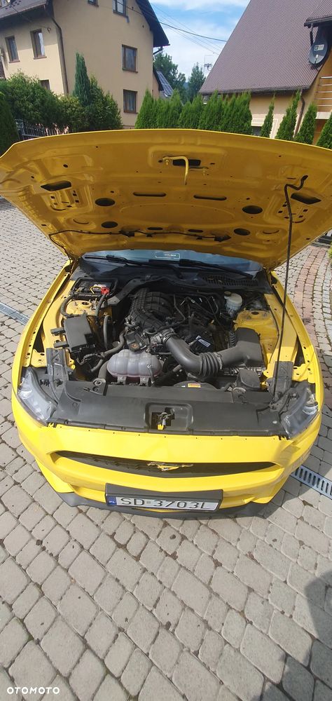 Ford Mustang - 15