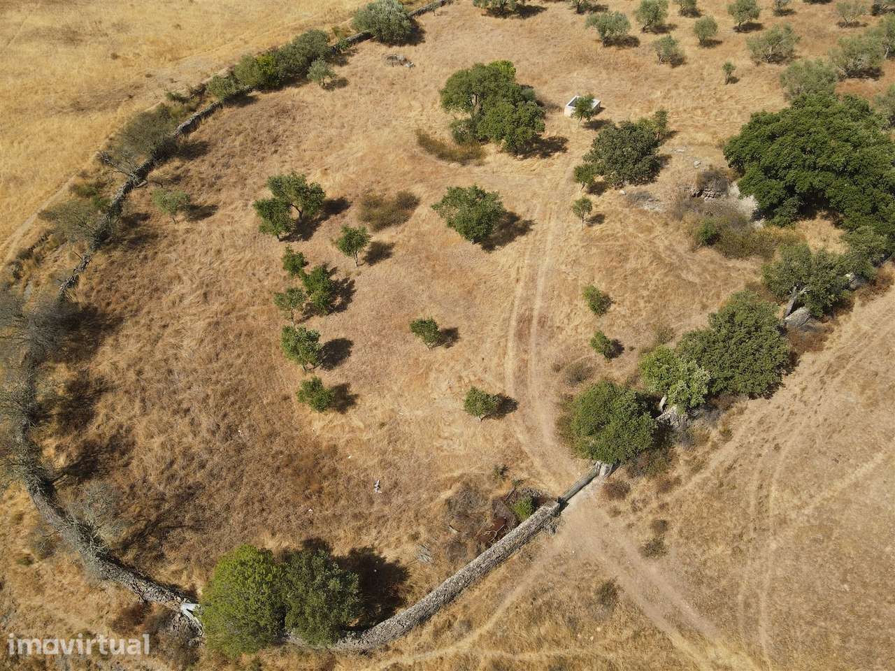 Terreno Rústico  Venda em Santa Cruz,Almodôvar - Grande imagem: 3/23